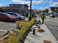 Planting in front of CVS on Main Street