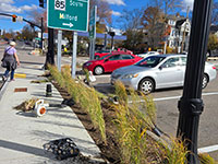Landscaping in front of CVS on Main