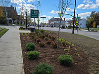 Landscaping at Town Common